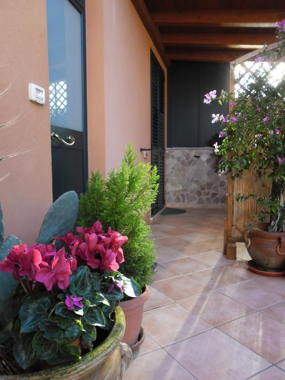 Viola Di Mare Rooms And Parking Termoli Kültér fotó